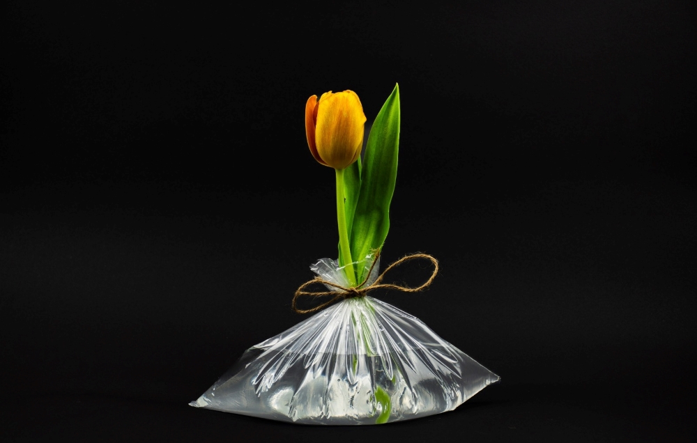 Foto: Hős Norbert Szabadka